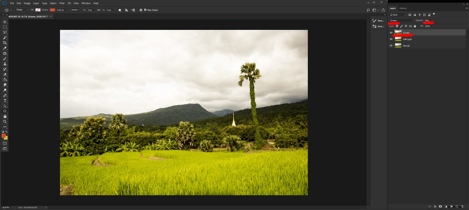 7 Essential Post-Processing Steps for Beginner Photographers in Lightroom & Photoshop