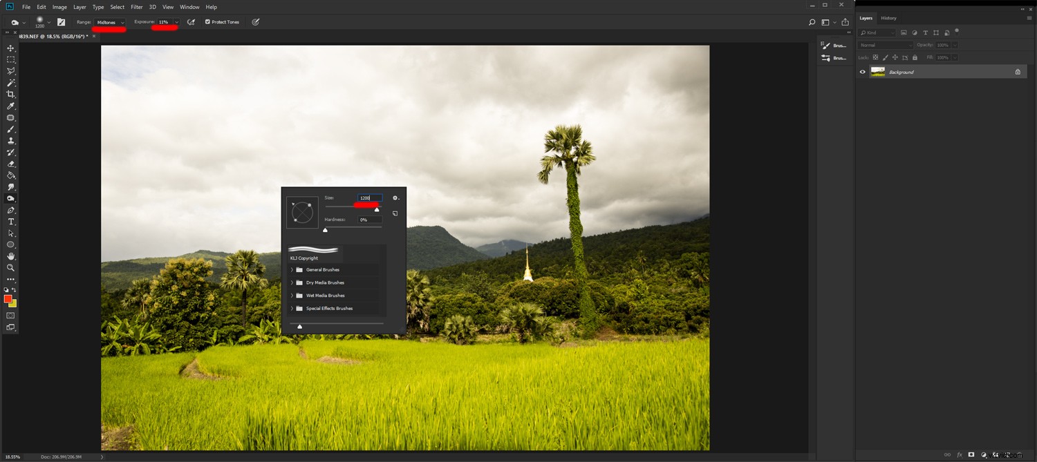 7 Essential Post-Processing Steps for Beginner Photographers in Lightroom & Photoshop