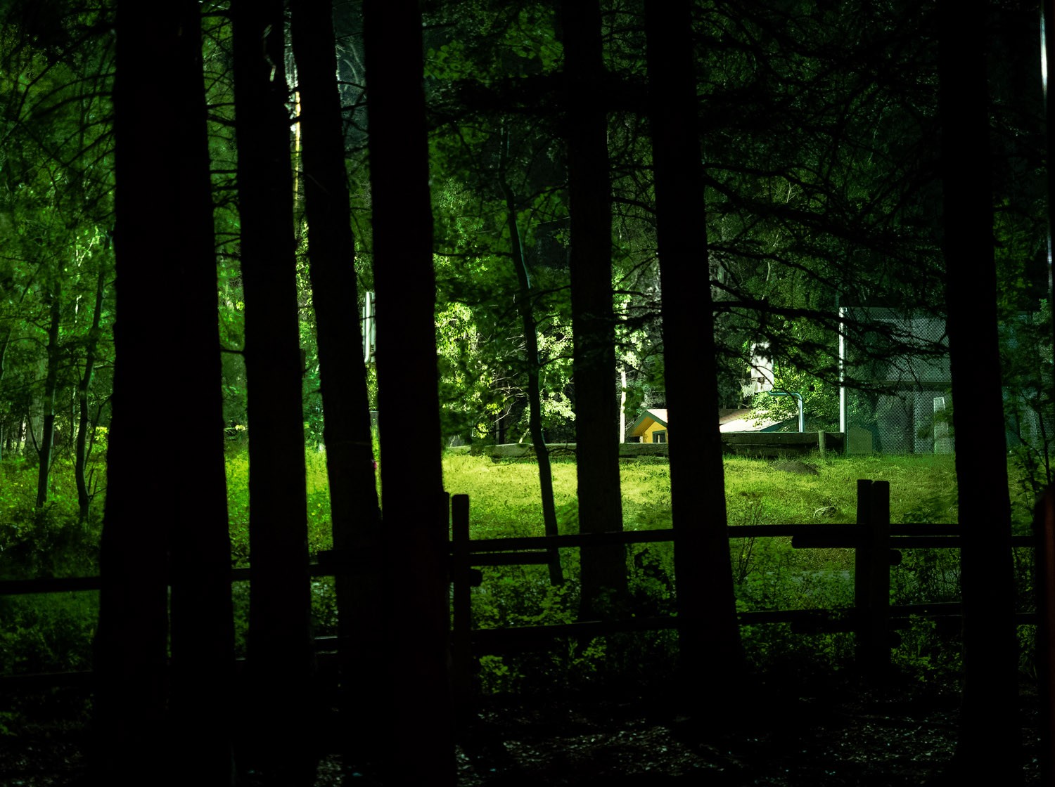 Master Low-Light Photography: Optimize ISO for Noise-Free, Sharp Images