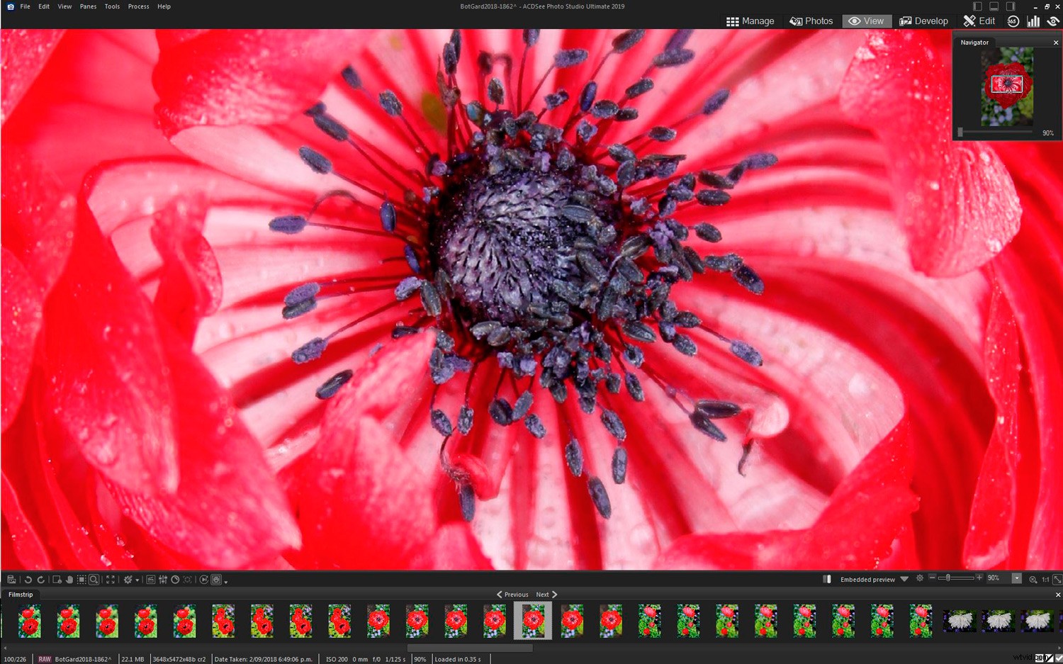 ACDSee Photo Studio Ultimate 2019 Review: Top Photo Editing Software for Beginners & Pros