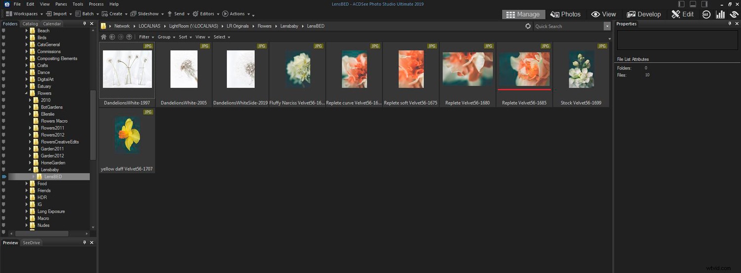 ACDSee Photo Studio Ultimate 2019 Review: Top Photo Editing Software for Beginners & Pros