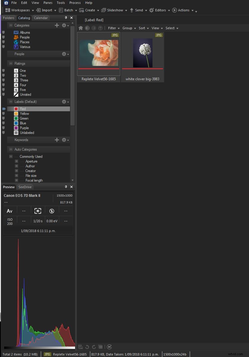 ACDSee Photo Studio Ultimate 2019 Review: Top Photo Editing Software for Beginners & Pros
