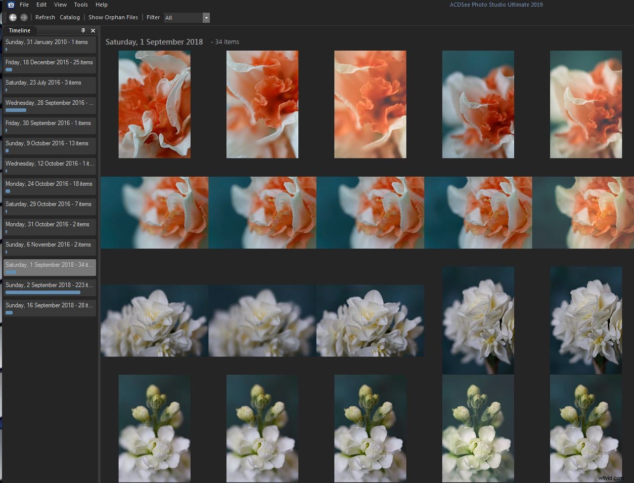 ACDSee Photo Studio Ultimate 2019 Review: Top Photo Editing Software for Beginners & Pros