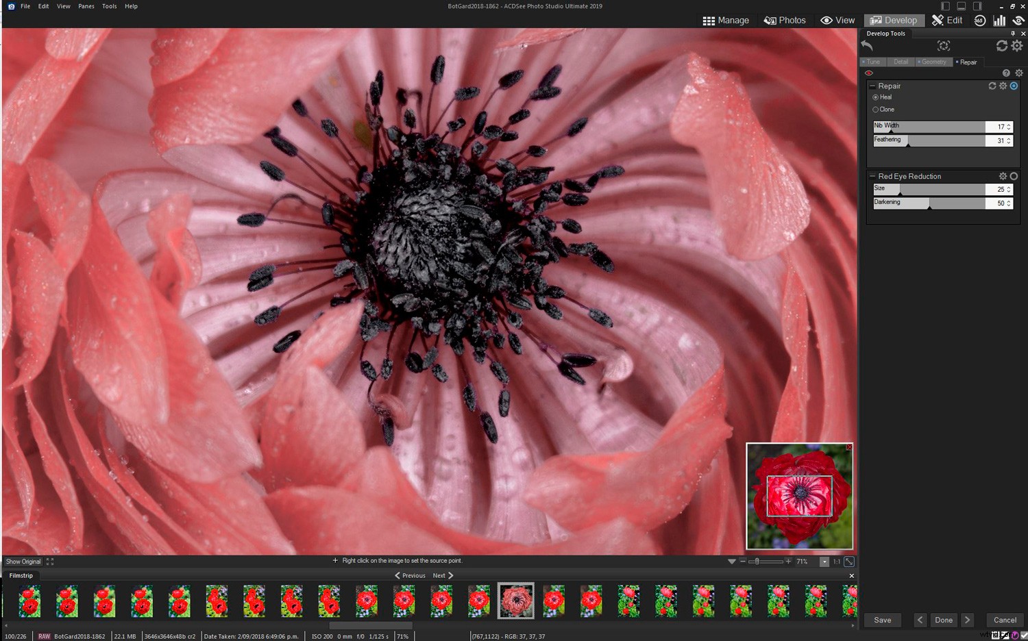 ACDSee Photo Studio Ultimate 2019 Review: Top Photo Editing Software for Beginners & Pros
