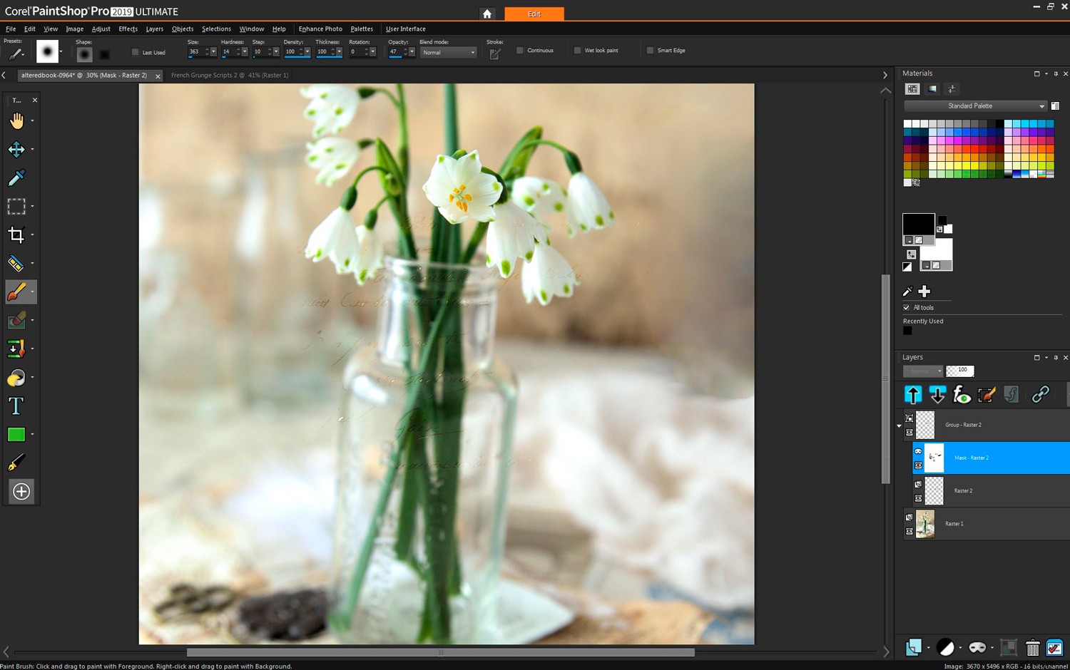 Corel PaintShop Pro 2019 Ultimate: Expert Review & Photoshop Comparison