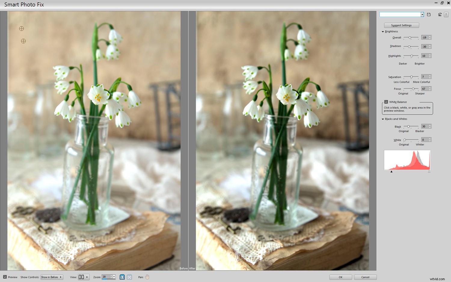 Corel PaintShop Pro 2019 Ultimate: Expert Review & Photoshop Comparison