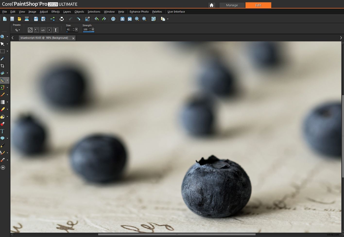 Corel PaintShop Pro 2019 Ultimate: Expert Review & Photoshop Comparison
