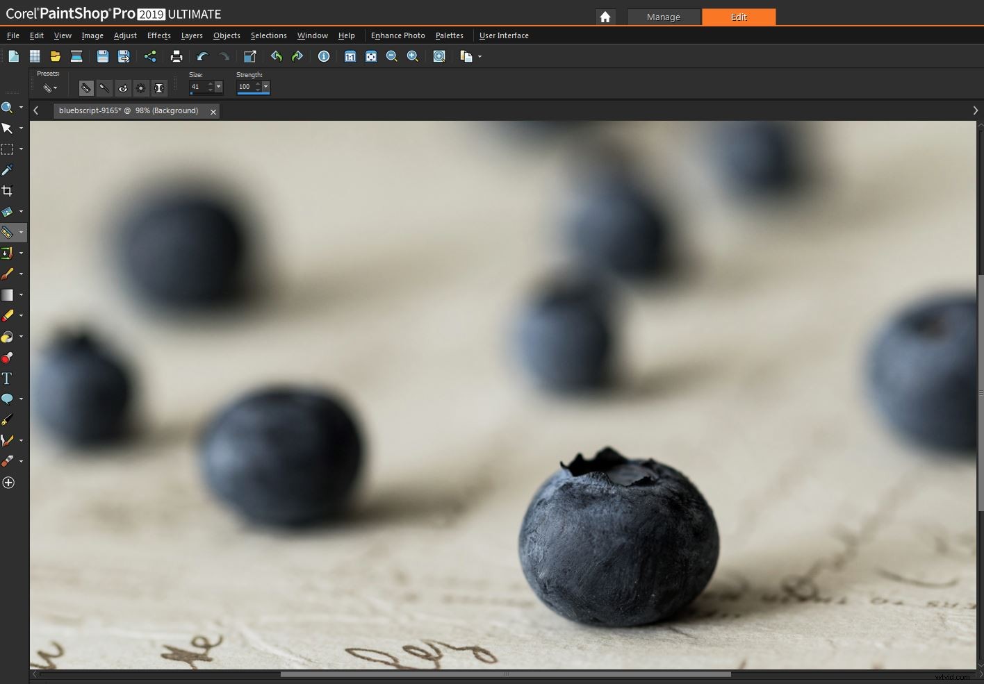 Corel PaintShop Pro 2019 Ultimate: Expert Review & Photoshop Comparison
