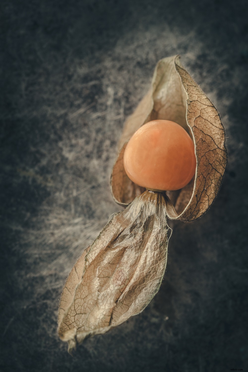 Transform Everyday Objects into Stunning Fine Art Photography