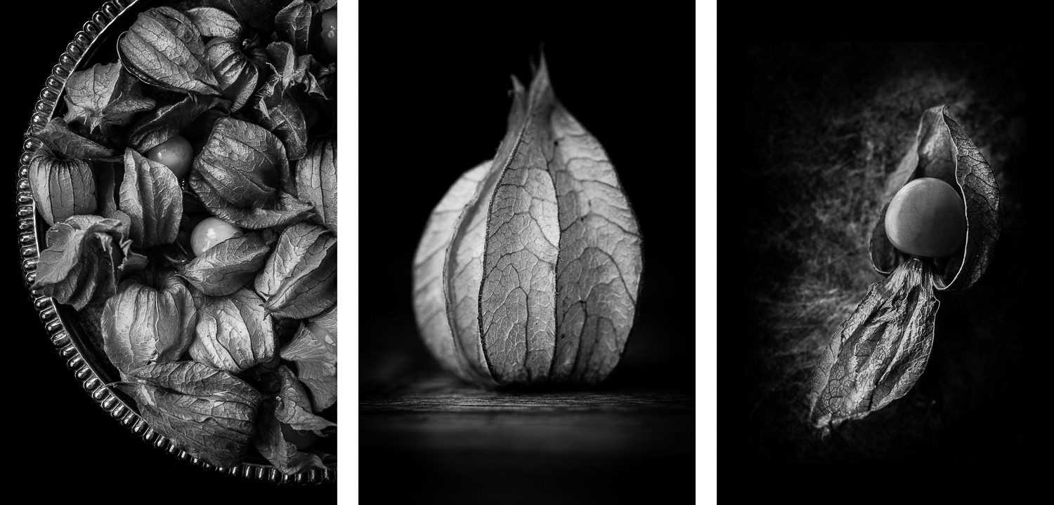 Transform Everyday Objects into Stunning Fine Art Photography