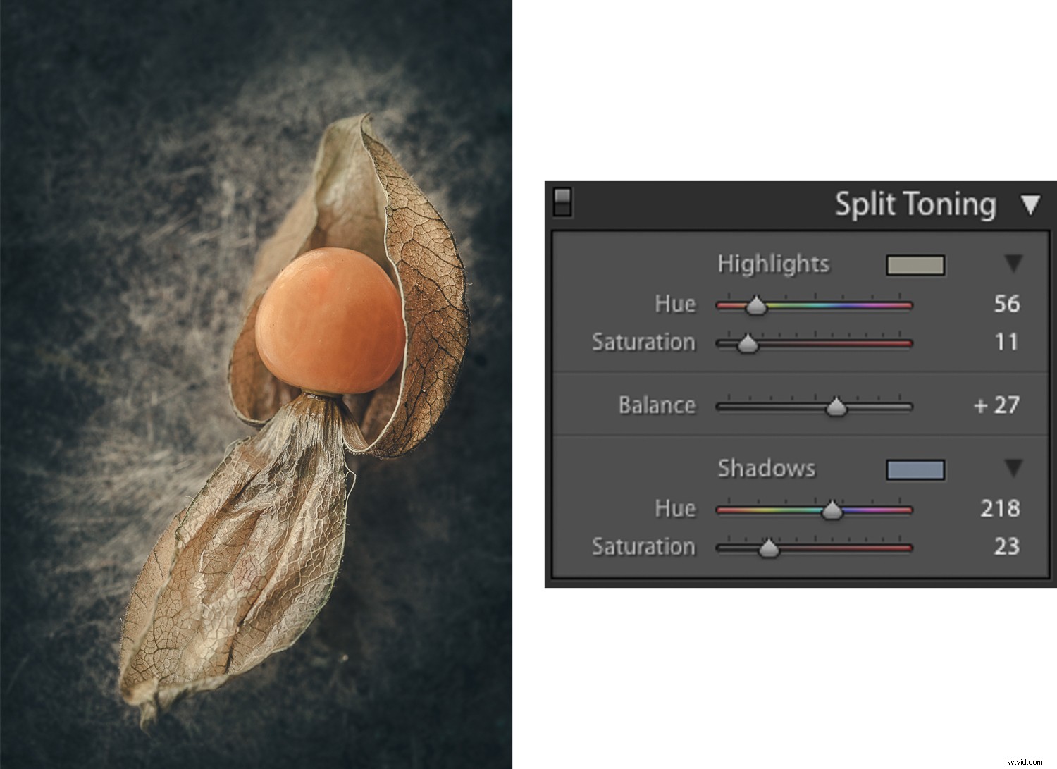 Transform Everyday Objects into Stunning Fine Art Photography