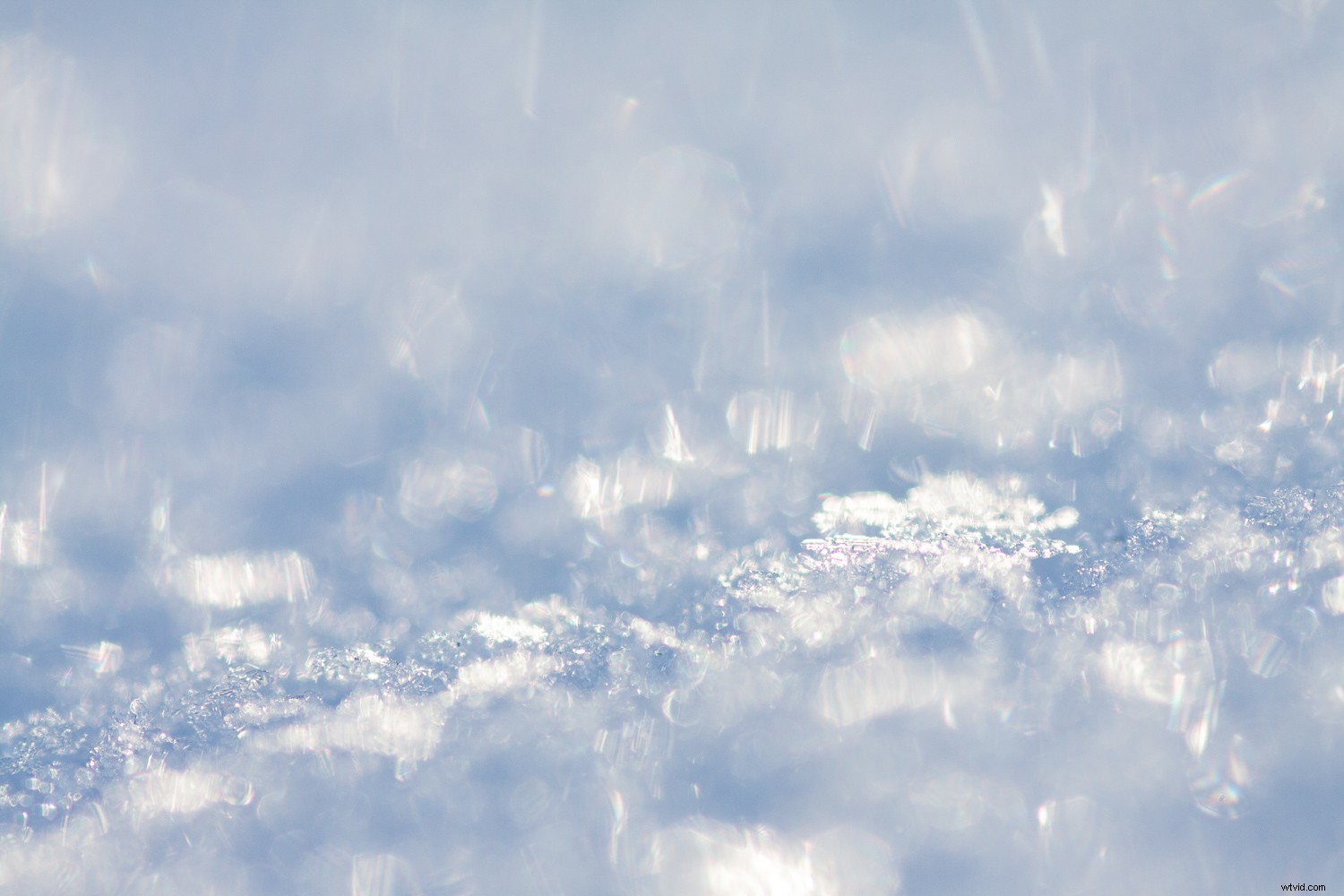 5 Proven Techniques to Transform Ordinary Subjects into Extraordinary Photographs