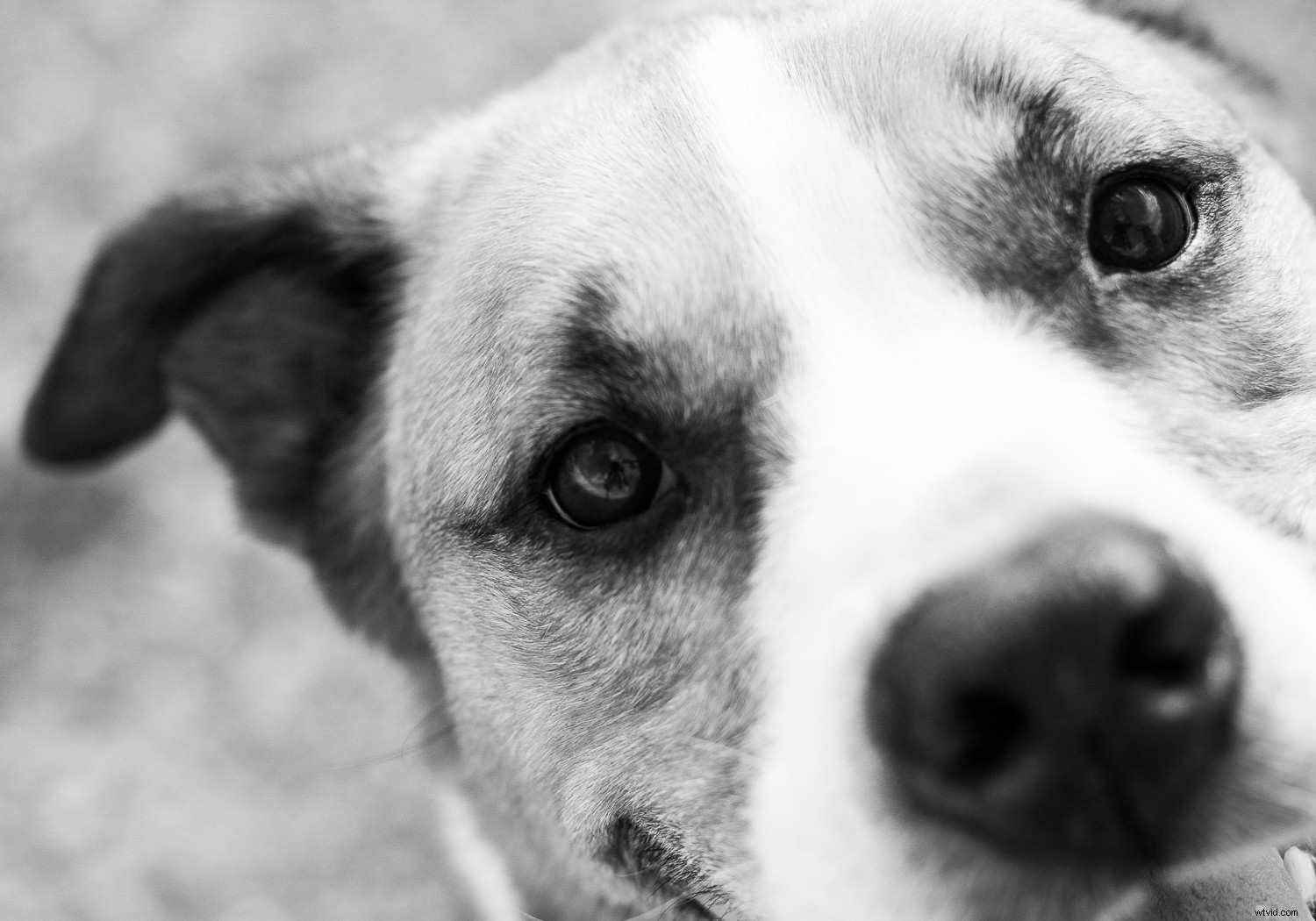 5 Proven Techniques to Transform Ordinary Subjects into Extraordinary Photographs