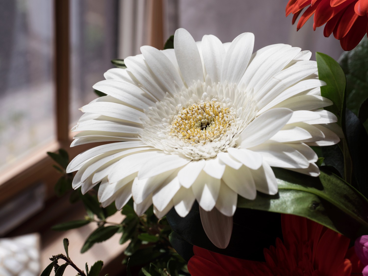 Master Sensor-Shift Technology: Achieve Stunning High-Resolution Images