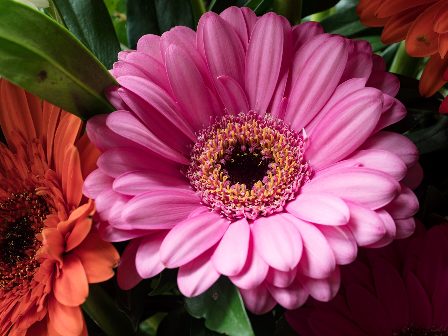 Master Sensor-Shift Technology: Achieve Stunning High-Resolution Images