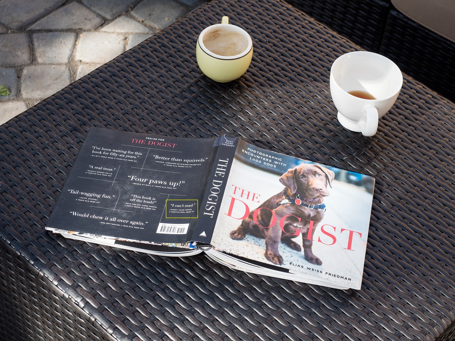 Master Sensor-Shift Technology: Achieve Stunning High-Resolution Images