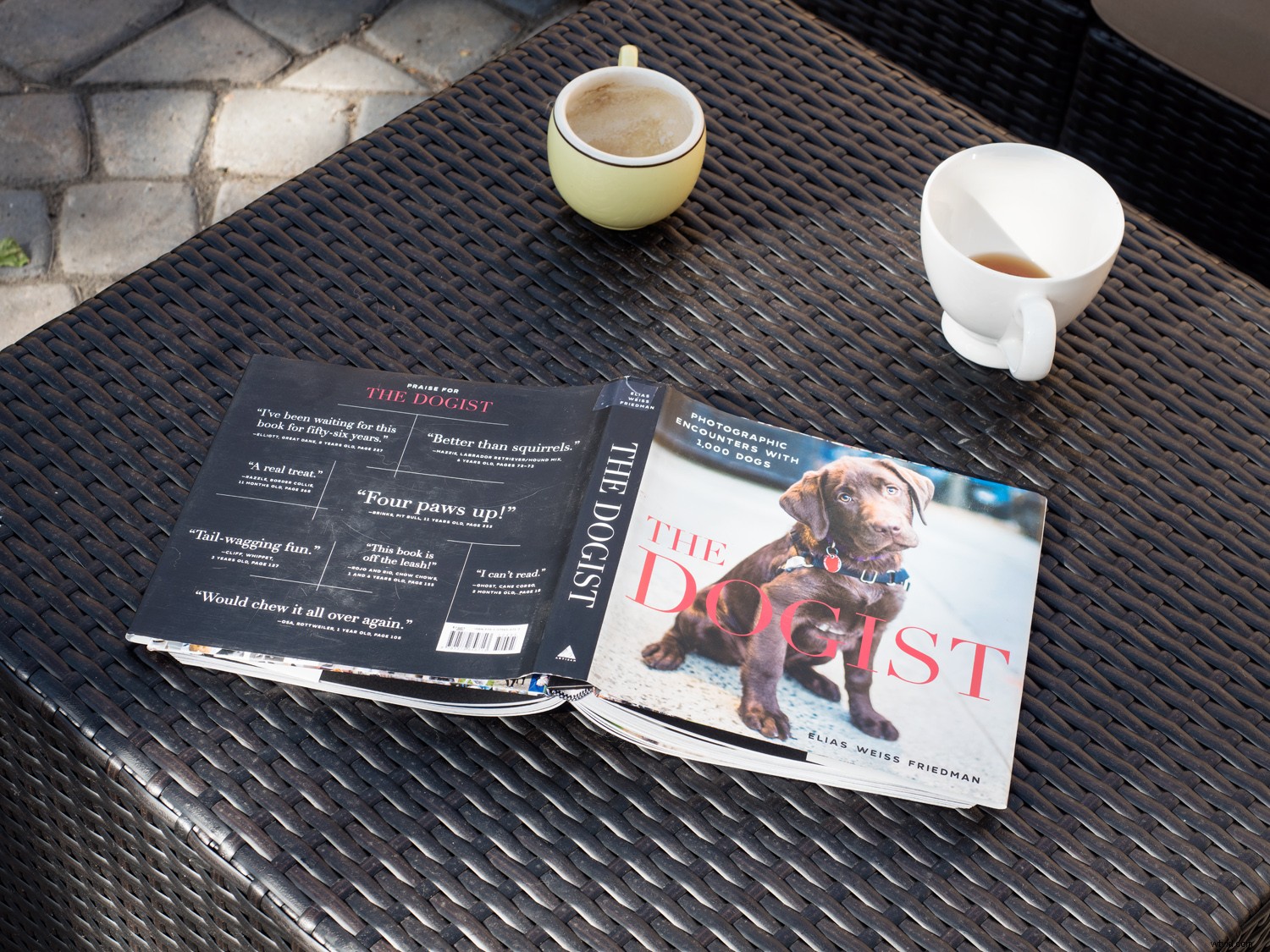 Master Sensor-Shift Technology: Achieve Stunning High-Resolution Images