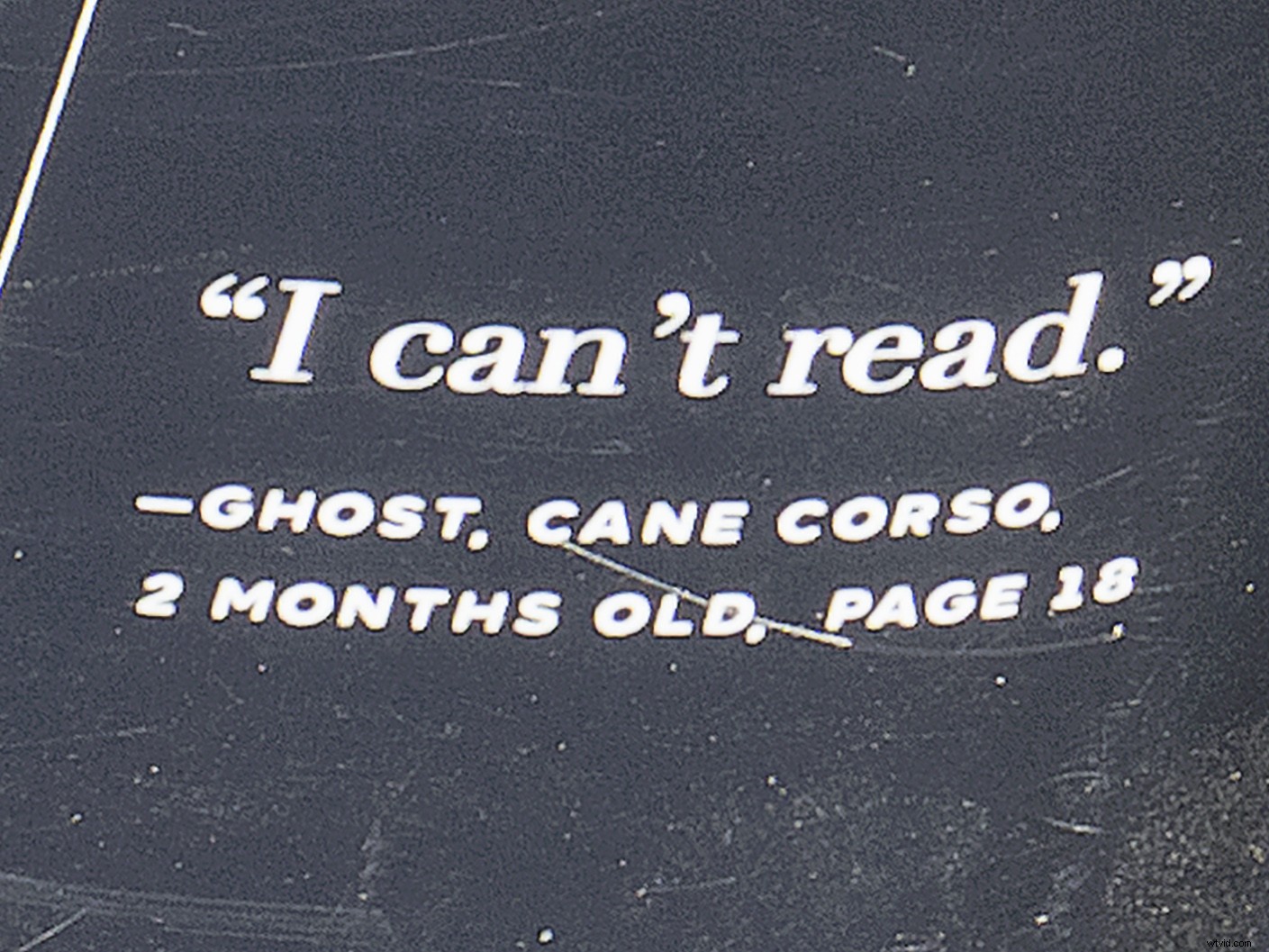 Master Sensor-Shift Technology: Achieve Stunning High-Resolution Images