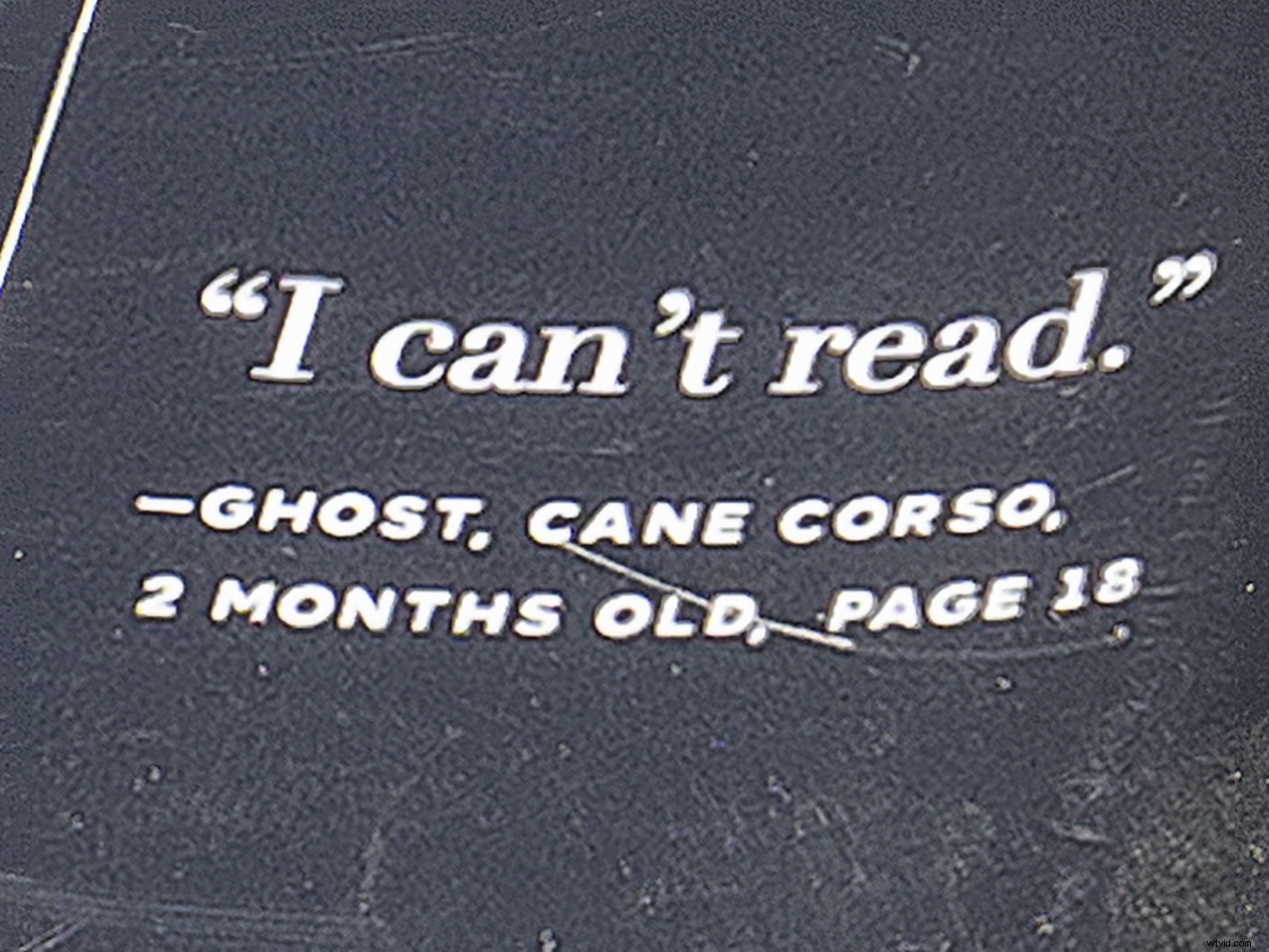 Master Sensor-Shift Technology: Achieve Stunning High-Resolution Images