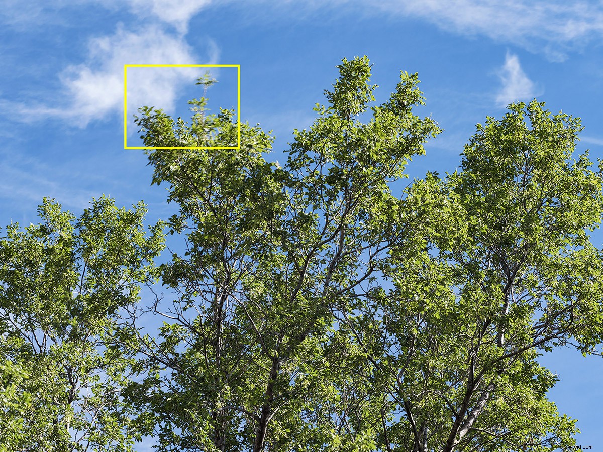 Master Sensor-Shift Technology: Achieve Stunning High-Resolution Images