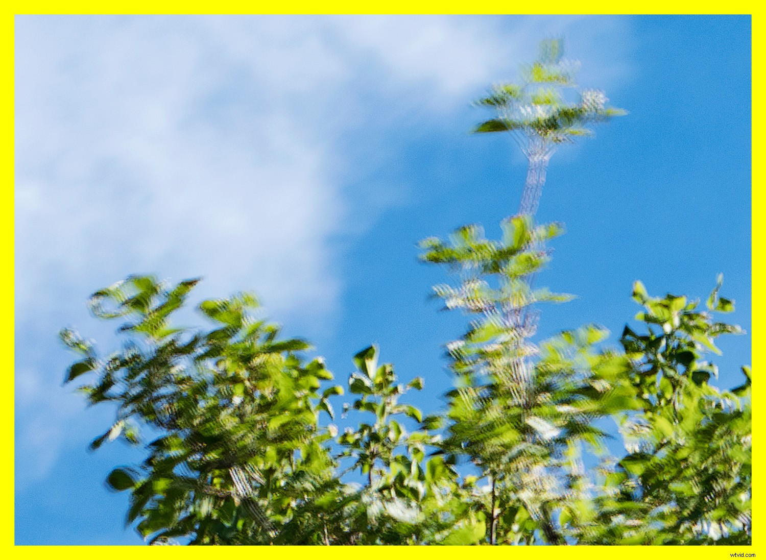 Master Sensor-Shift Technology: Achieve Stunning High-Resolution Images