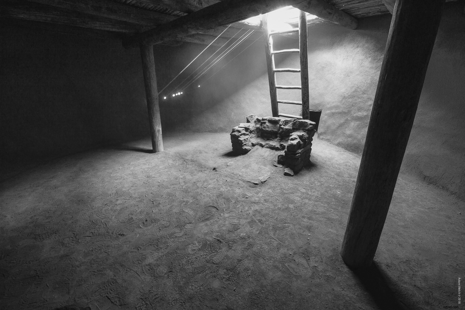 Master Stunning Black & White Photos: Photoshop Gradient Map Tutorial