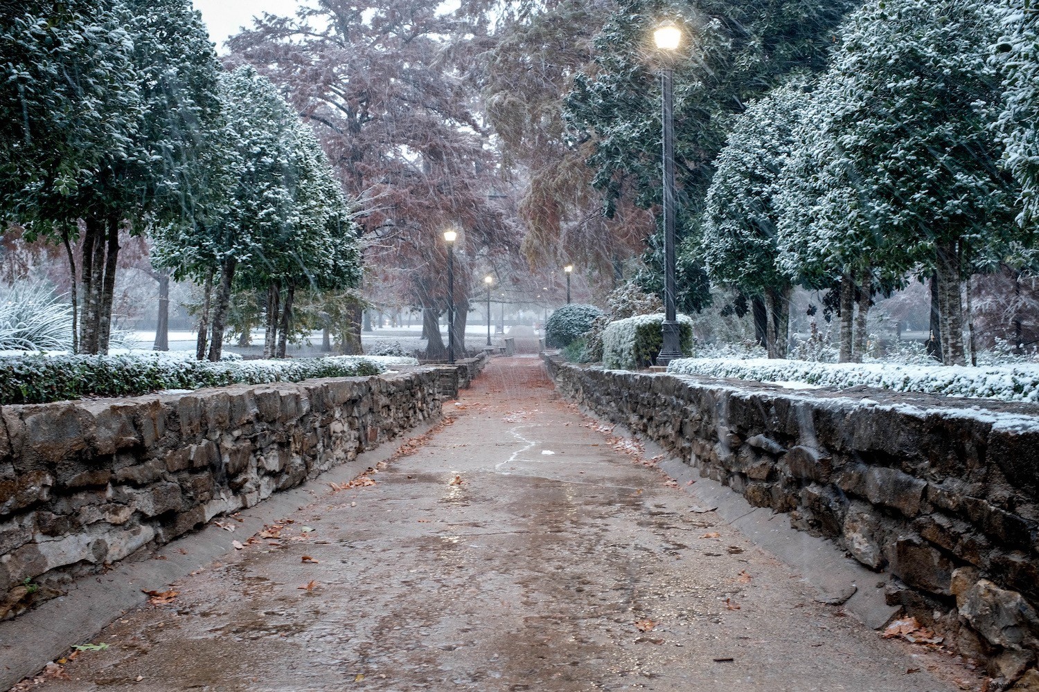 Pro Camera Settings to Supercharge Your JPEG Photos