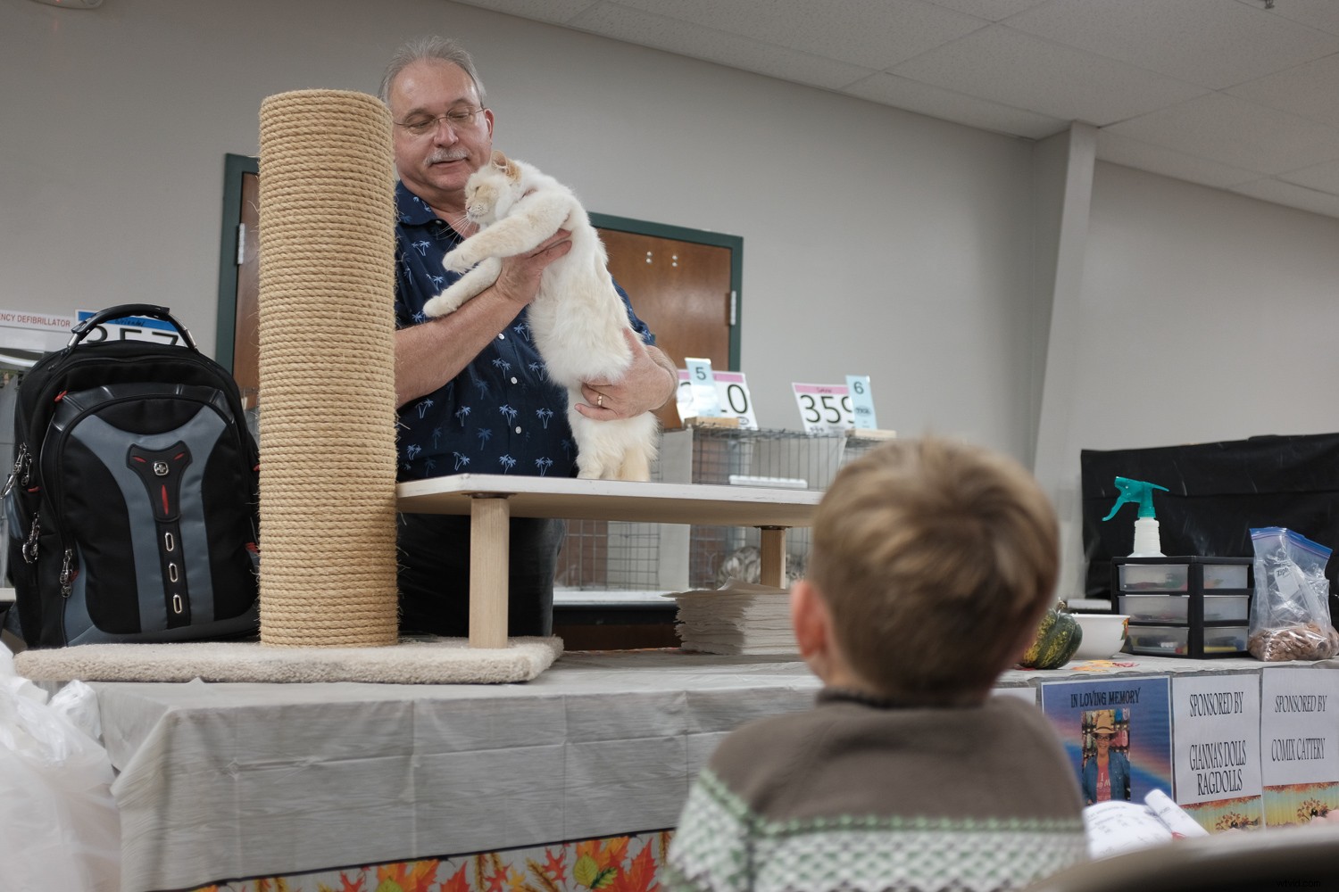 Pro Camera Settings to Supercharge Your JPEG Photos