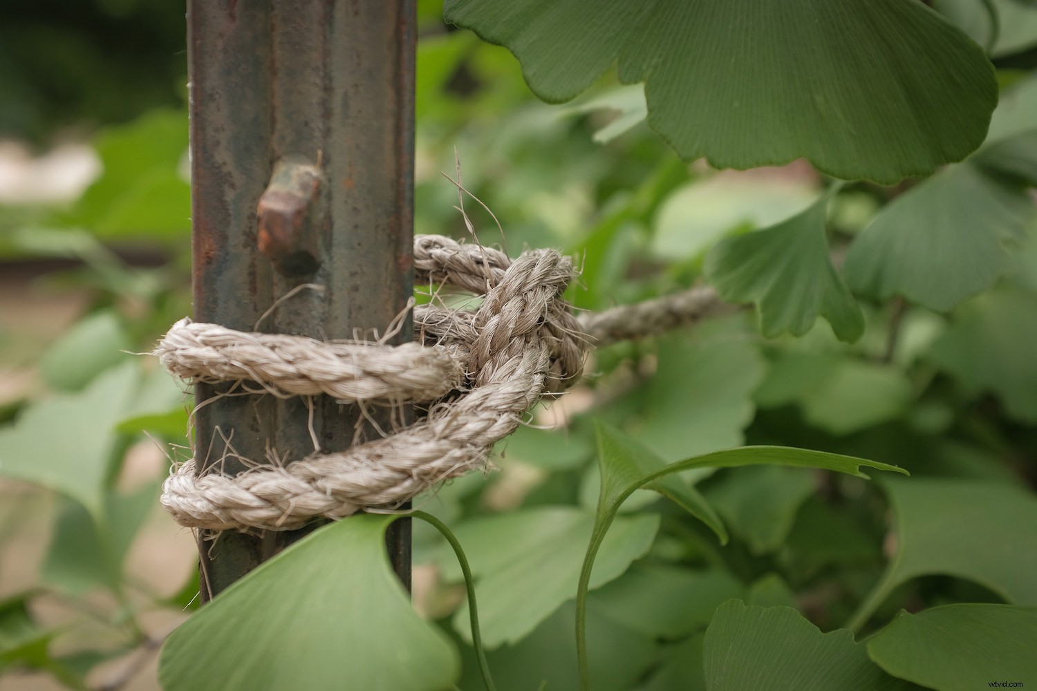 Pro Camera Settings to Supercharge Your JPEG Photos