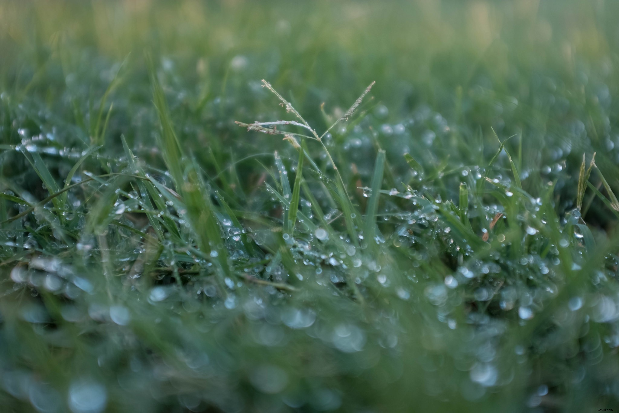 Pro Camera Settings to Supercharge Your JPEG Photos