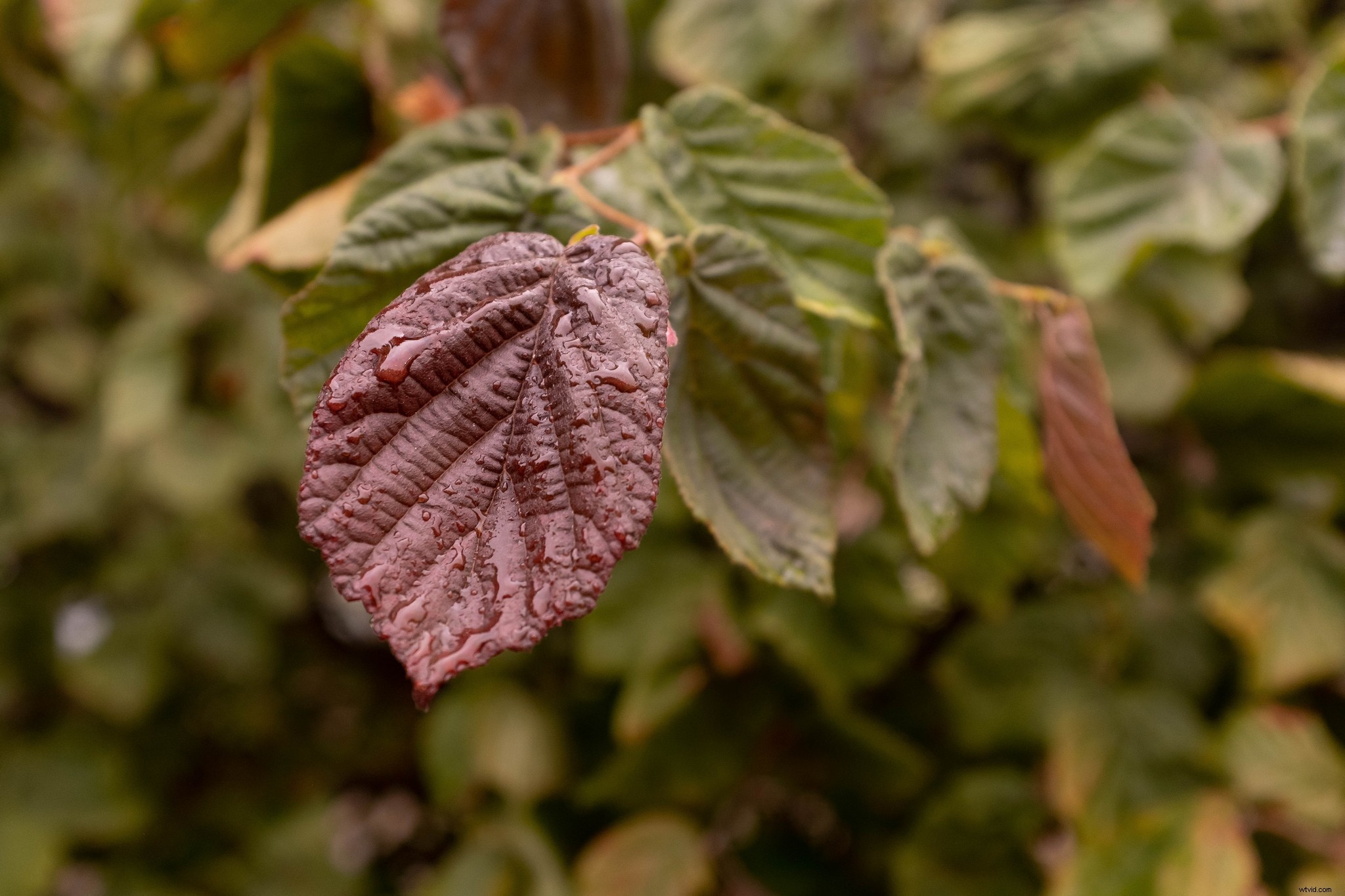 Pro Camera Settings to Supercharge Your JPEG Photos