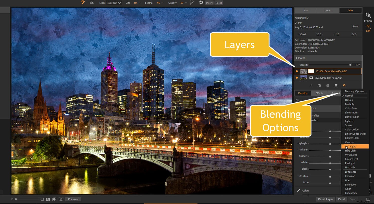 ON1 Photo RAW 2019: Expert Review for Photographers of All Levels