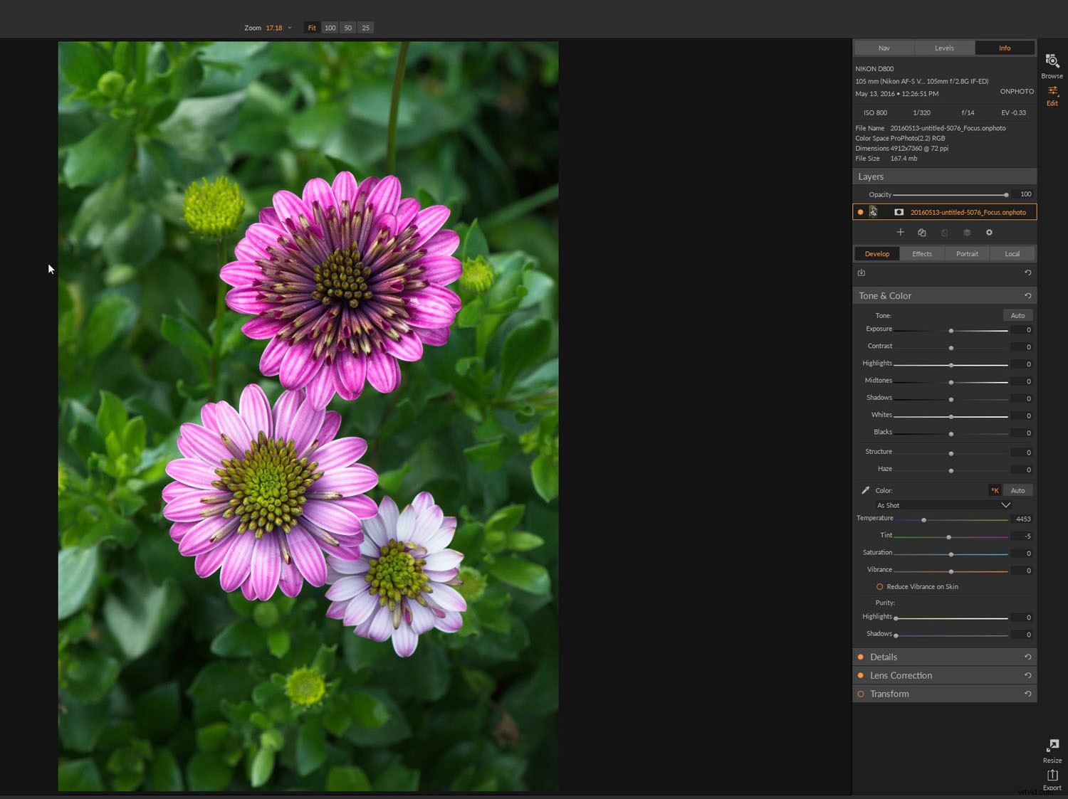 ON1 Photo RAW 2019: Expert Review for Photographers of All Levels