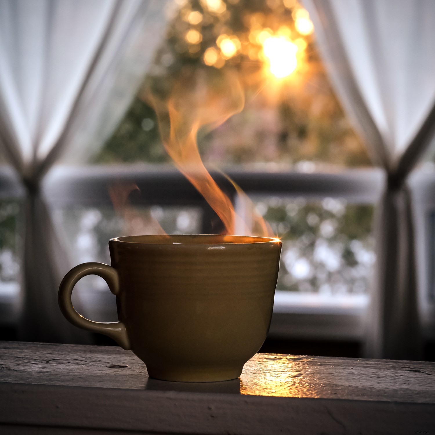 7 Expert Tips for Capturing Stunning Photos in Freezing Winter Weather