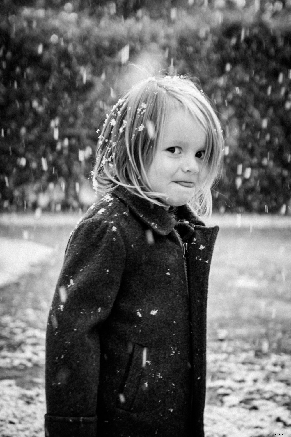 7 Expert Tips for Capturing Stunning Photos in Freezing Winter Weather