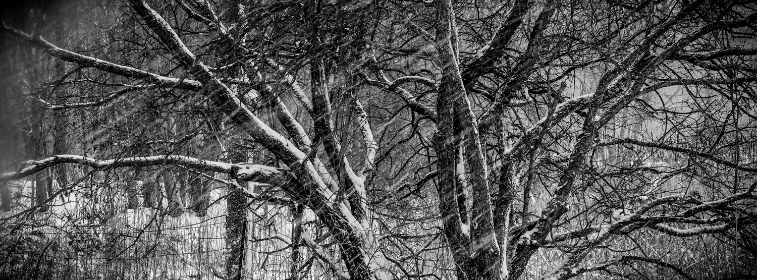 7 Expert Tips for Capturing Stunning Photos in Freezing Winter Weather