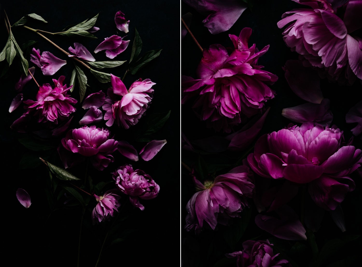 Mastering Compositional Theory for Stunning Still Life Photography