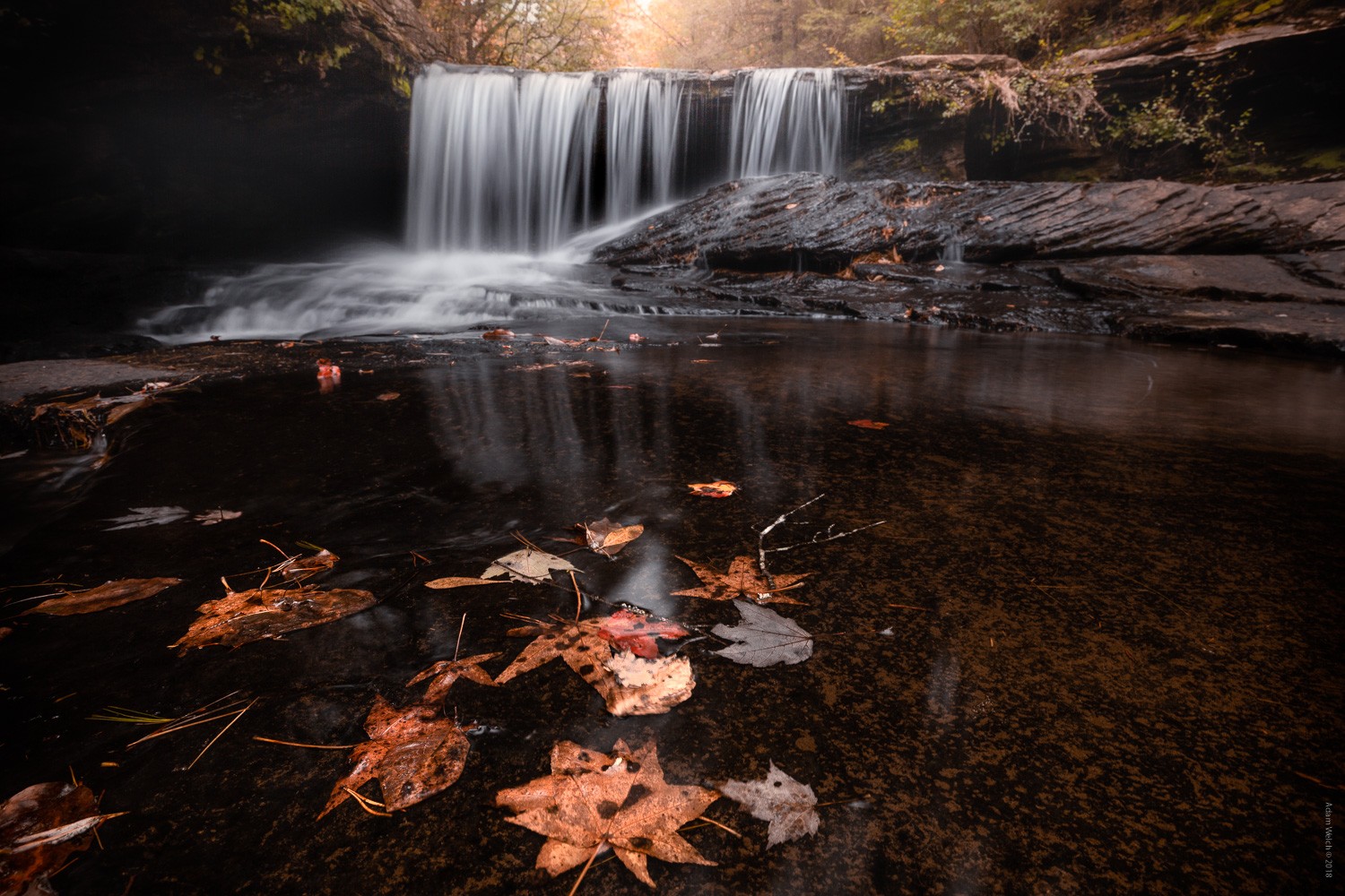 4 Expert Tips for Capturing Stunning Autumn Foliage Colors