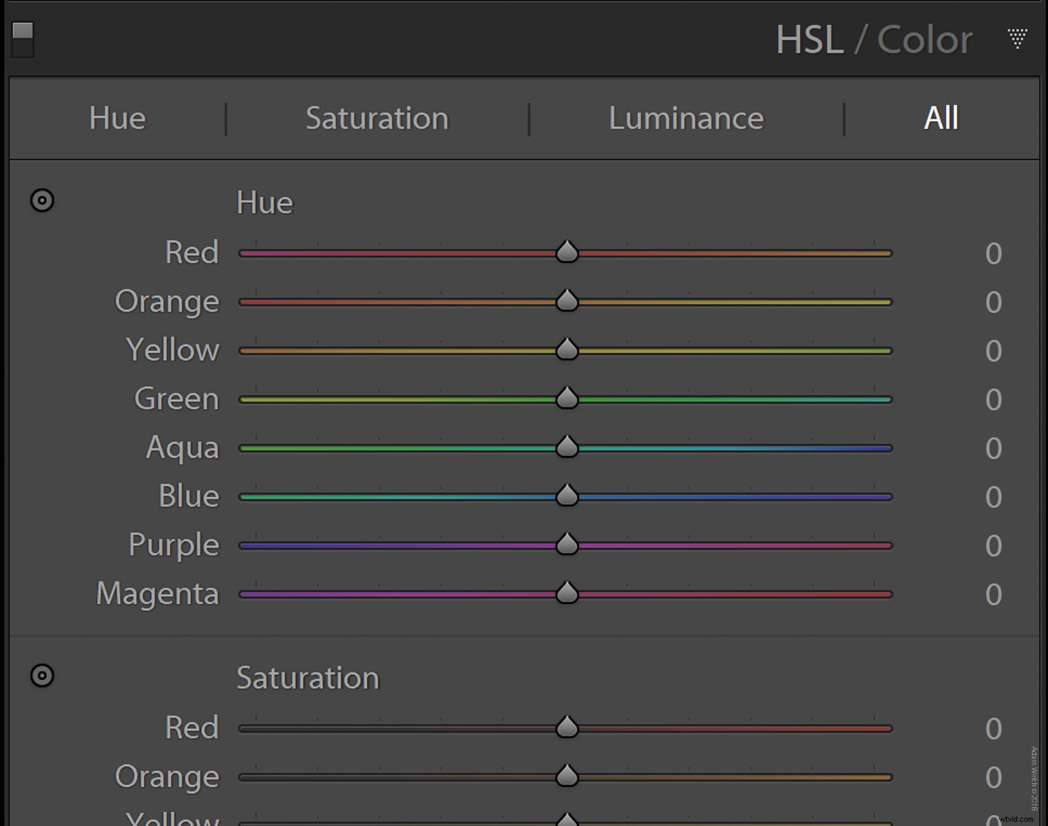 4 Expert Tips for Capturing Stunning Autumn Foliage Colors