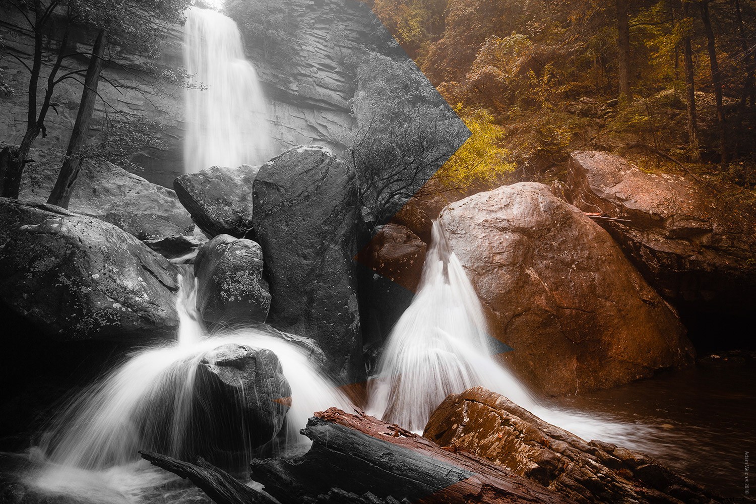 Master Color Temperature for Stunning Black & White Photo Conversions