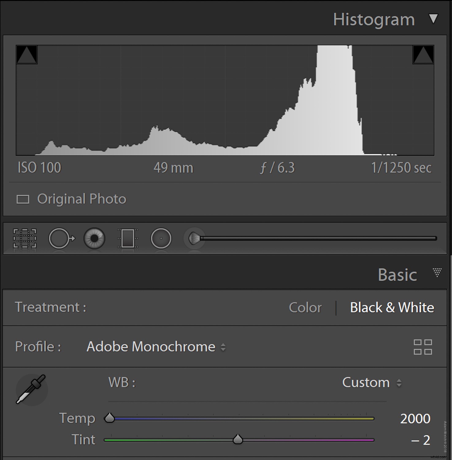 Master Color Temperature for Stunning Black & White Photo Conversions