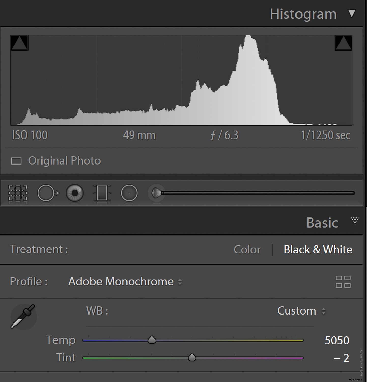 Master Color Temperature for Stunning Black & White Photo Conversions