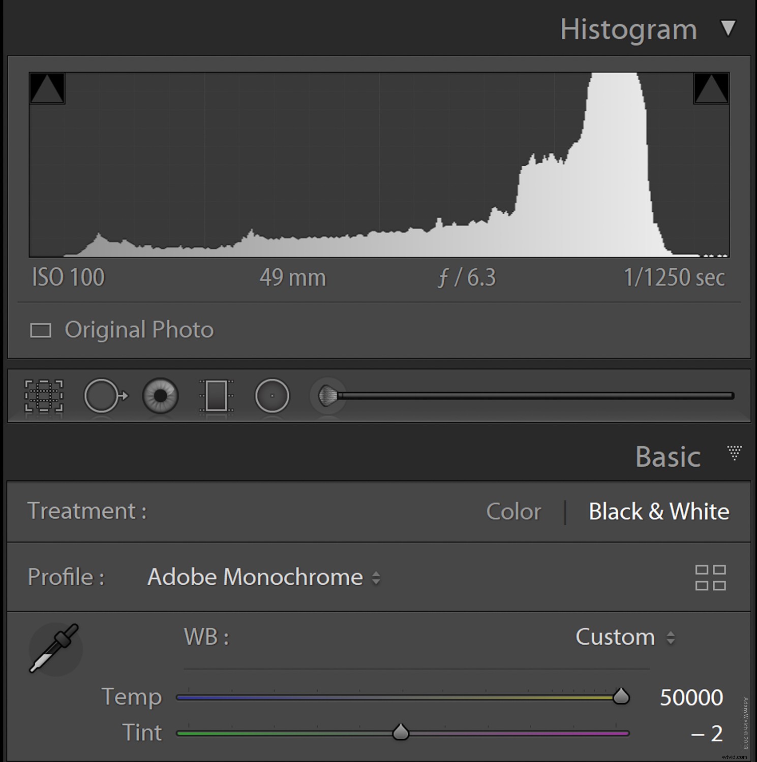 Master Color Temperature for Stunning Black & White Photo Conversions