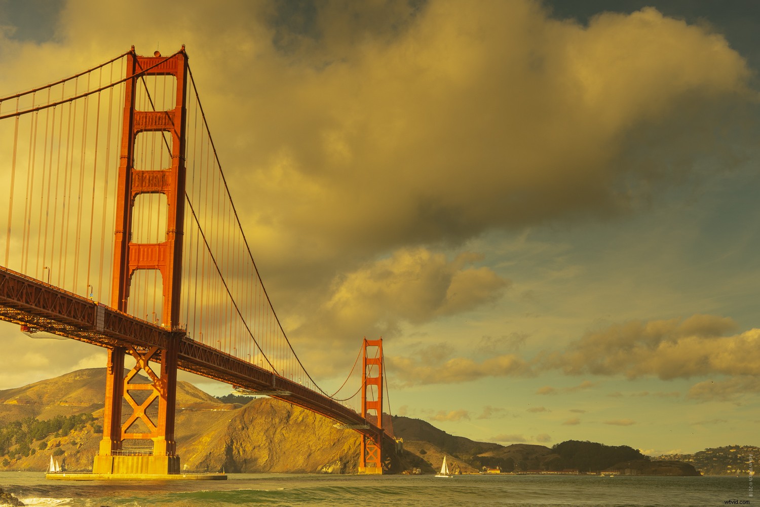 Master Color Temperature for Stunning Black & White Photo Conversions