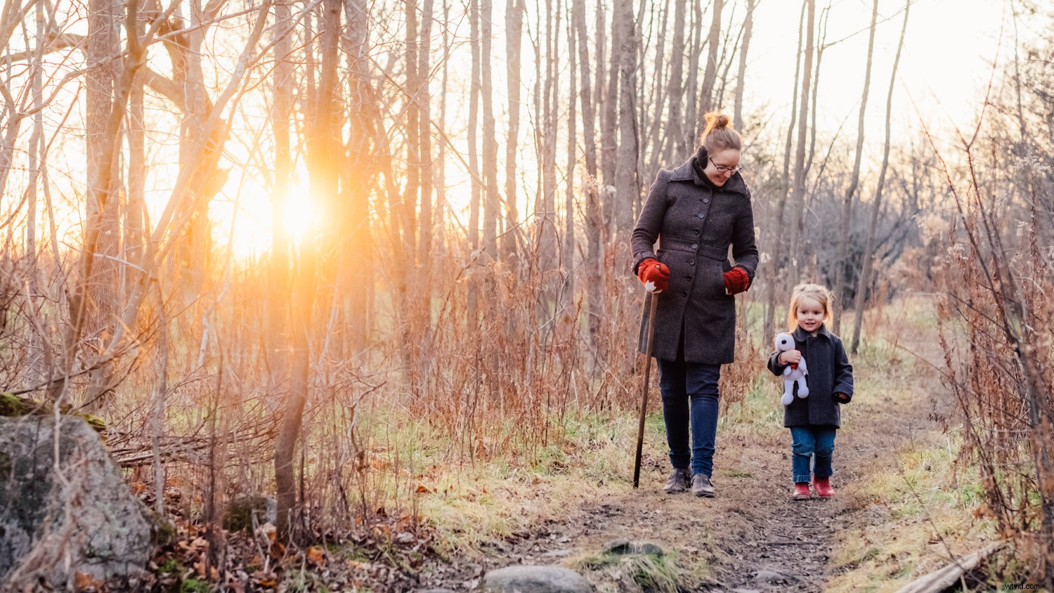 Master Dramatic Backlight Photography: Pro Tips for Portraits, Landscapes & Food