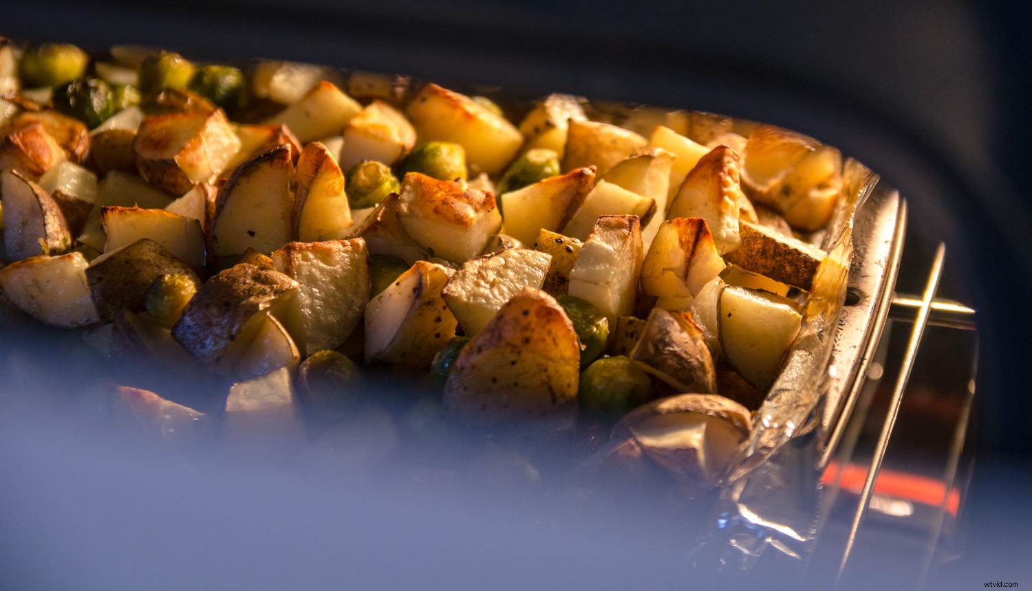 Master Dramatic Backlight Photography: Pro Tips for Portraits, Landscapes & Food