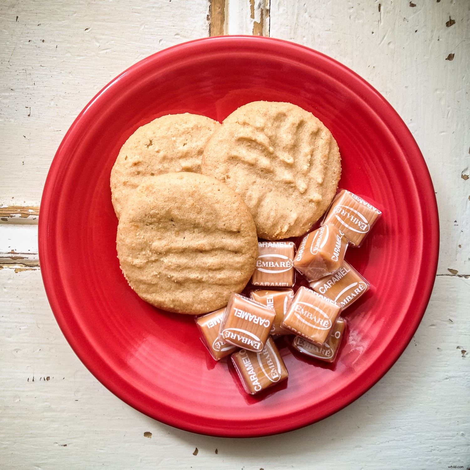 Master Dramatic Backlight Photography: Pro Tips for Portraits, Landscapes & Food