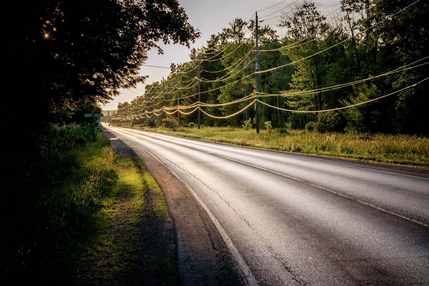 Master Dramatic Backlight Photography: Pro Tips for Portraits, Landscapes & Food