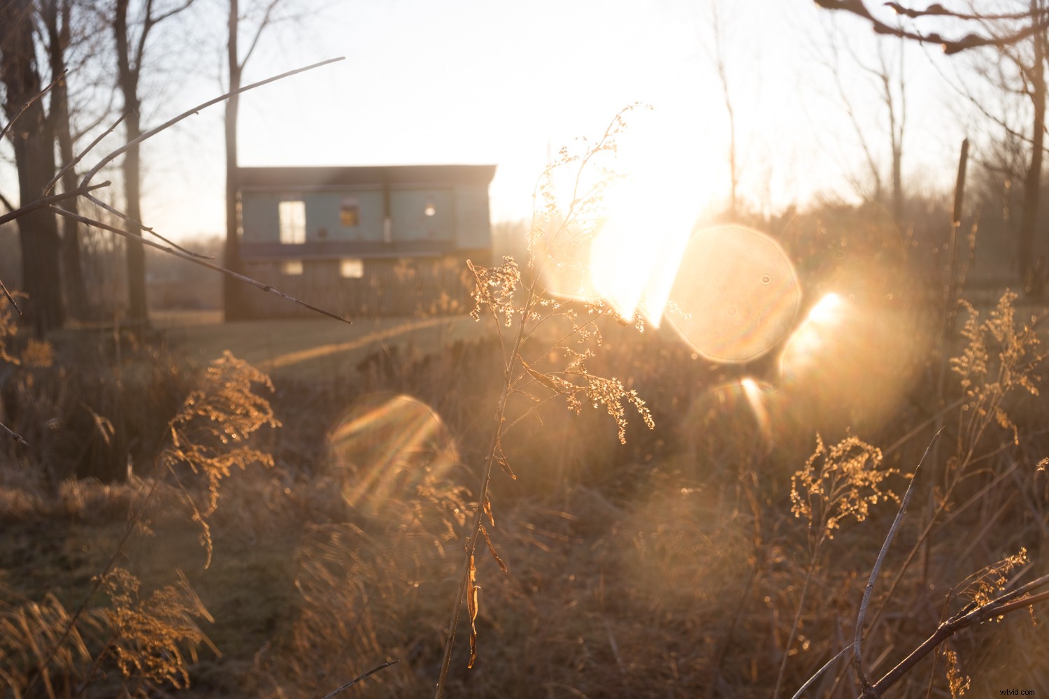 Master Dramatic Backlight Photography: Pro Tips for Portraits, Landscapes & Food