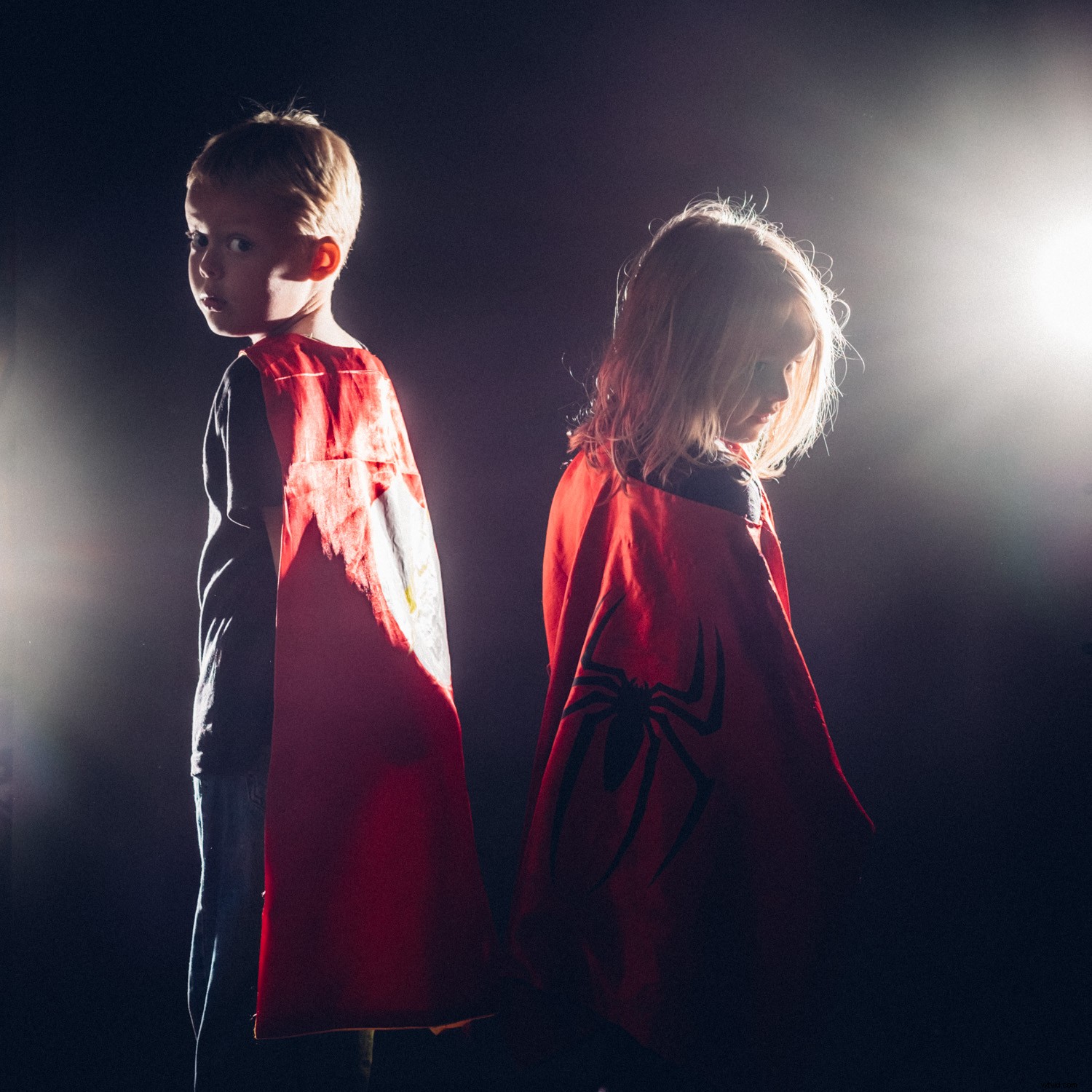 Master Dramatic Backlight Photography: Pro Tips for Portraits, Landscapes & Food